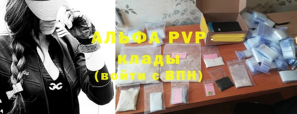 apvp Бородино