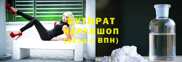 apvp Бородино