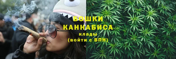 apvp Бородино